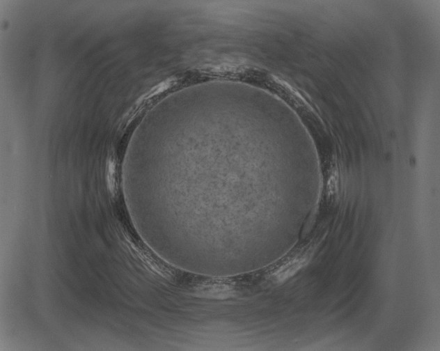 X0000081451156200701121224