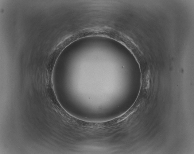 X0000081451158200701121224