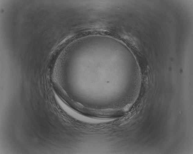 X0000081451159200701121224