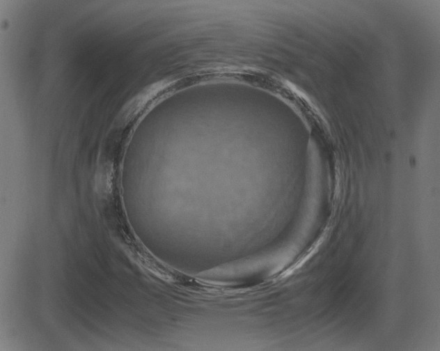 X0000081451161200701121224