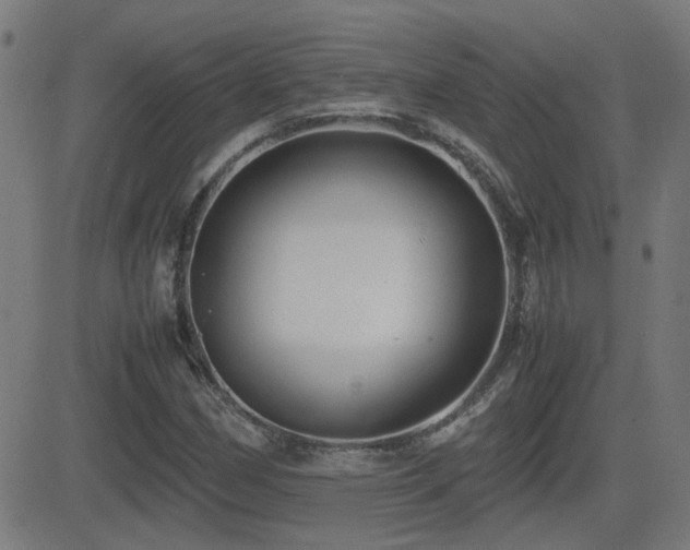 X0000081451162200701121224