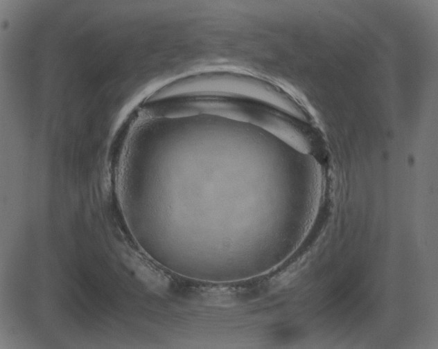 X0000081451167200701121224
