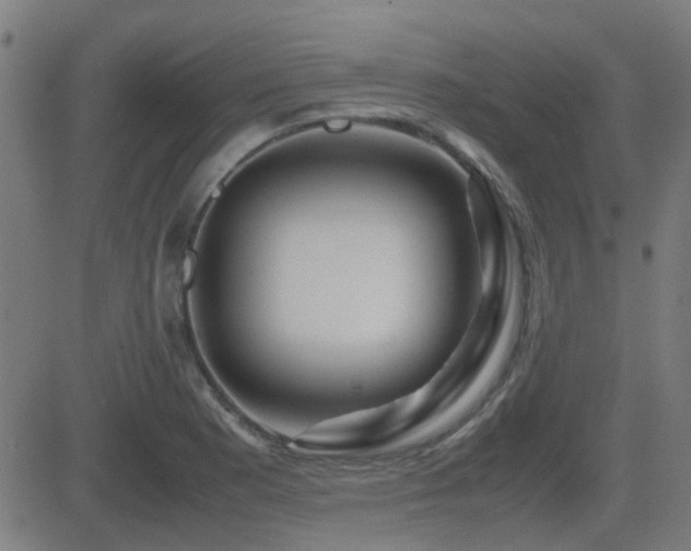 X0000081451177200701121224