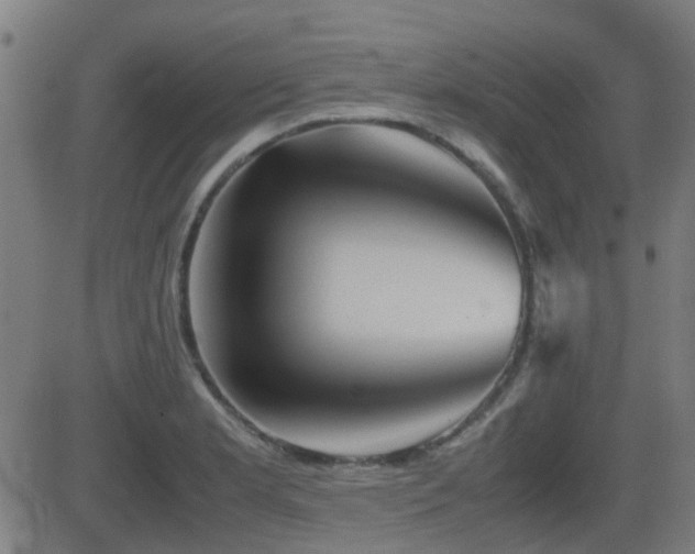 X0000081451181200701121224