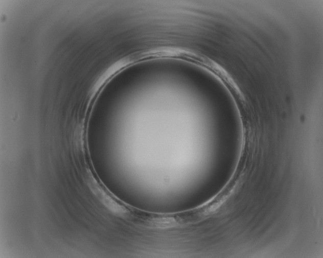 X0000081451186200701121223