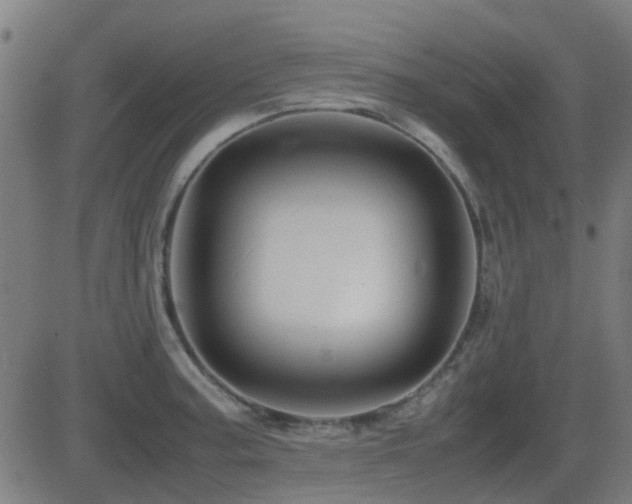 X0000081451187200701121223