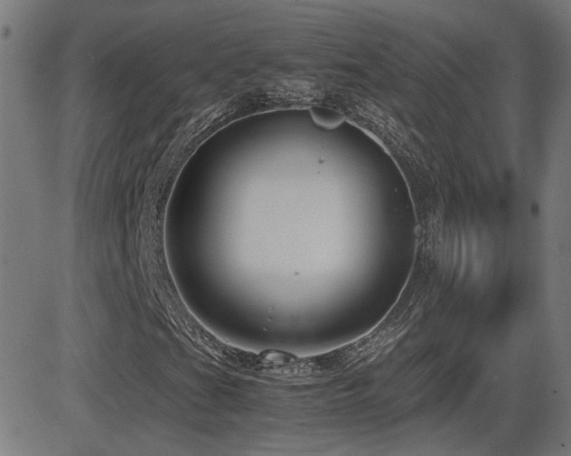 X0000081451201200701121222