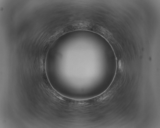 X0000081451203200701121222