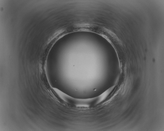 X0000081451209200701121223