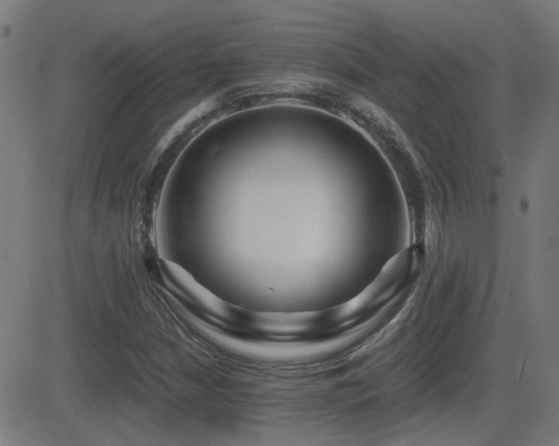 X0000081451210200701121223
