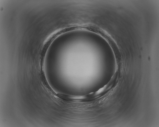 X0000081451214200701121223