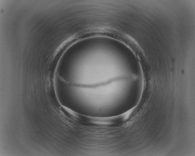 X0000081451218200701121223