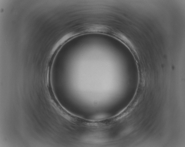X0000081451227200701121223
