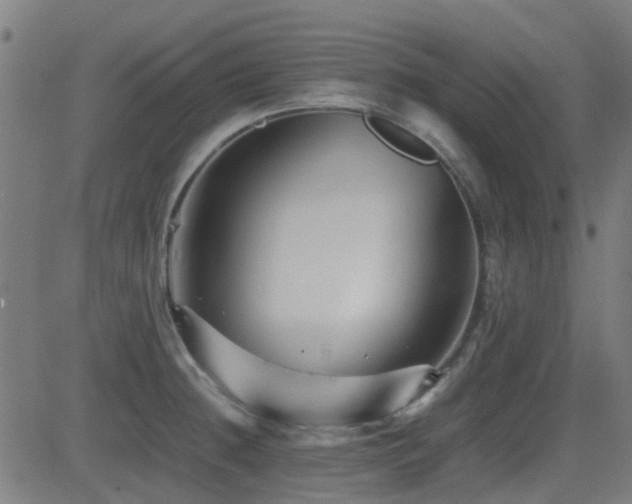 X0000081451236200701121223