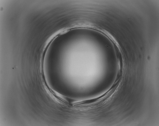 X0000081451246200701121223