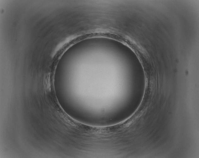 X0000081451262200701121222