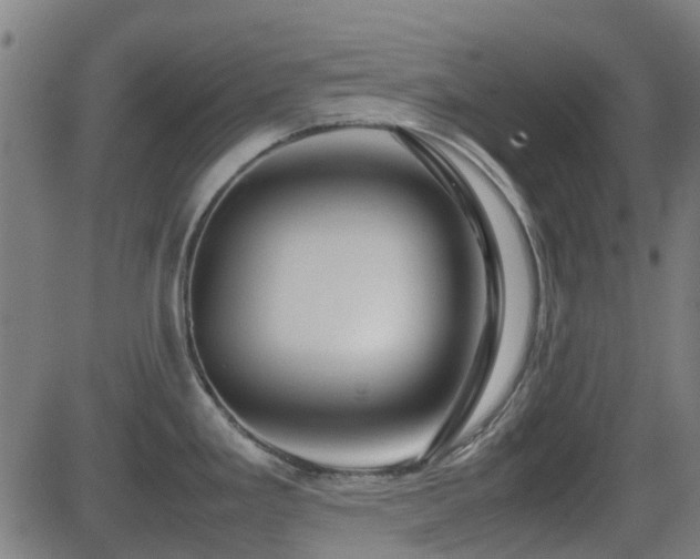 X0000081451293200701121222