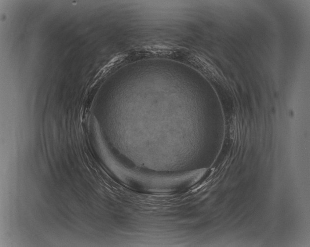 X0000081451298200701121221