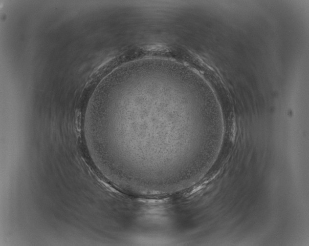 X0000081451301200701121221