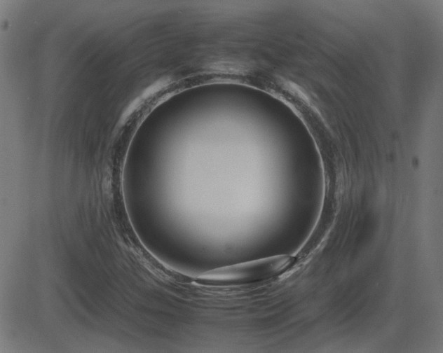 X0000081451307200701121221