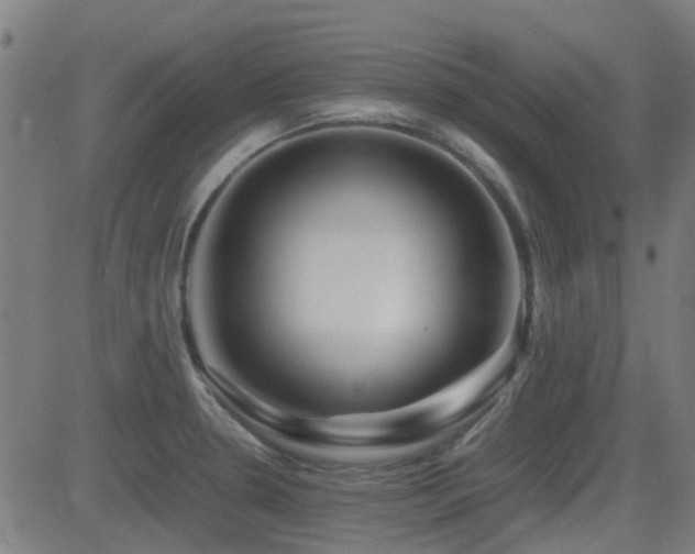 X0000081451330200701121221
