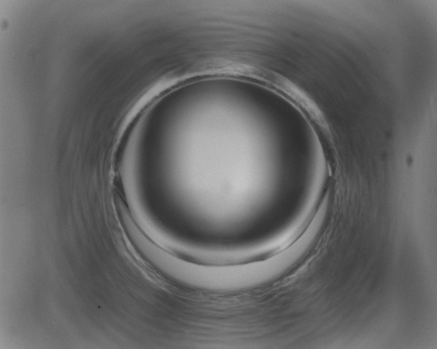 X0000081451332200701121221