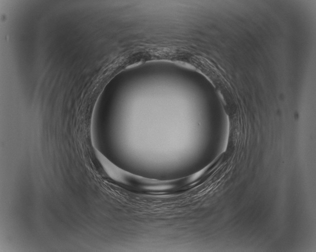 X0000081451345200701121221