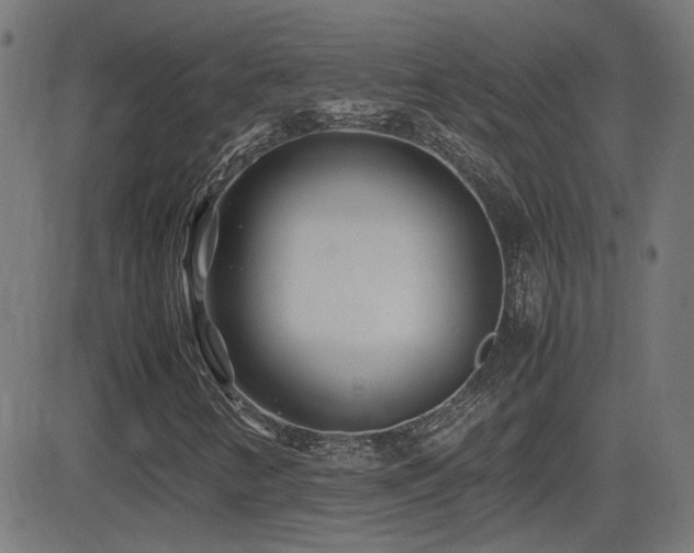 X0000081451346200701121221