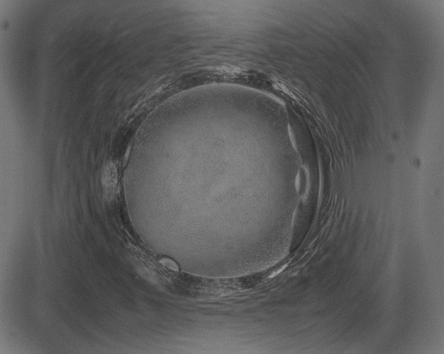 X0000081451347200701121221