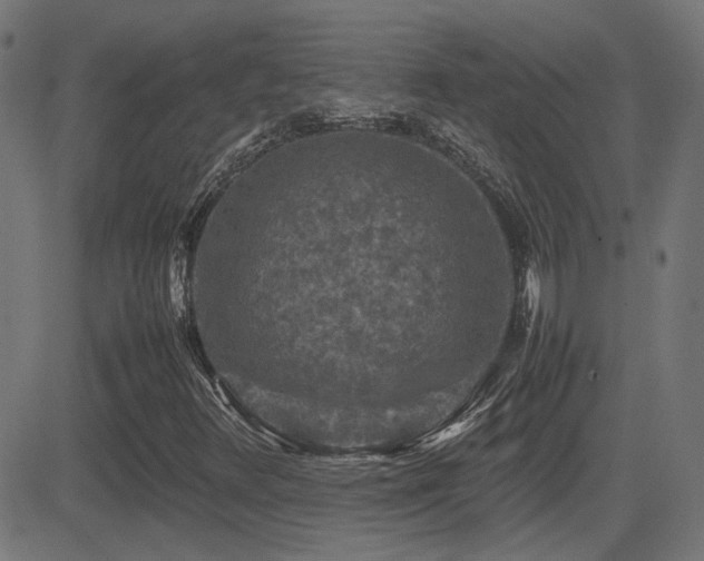 X0000081451348200701121221