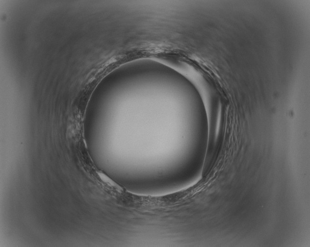 X0000081451349200701121221