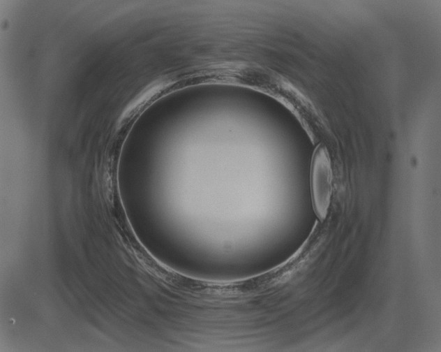 X0000081451354200701121221