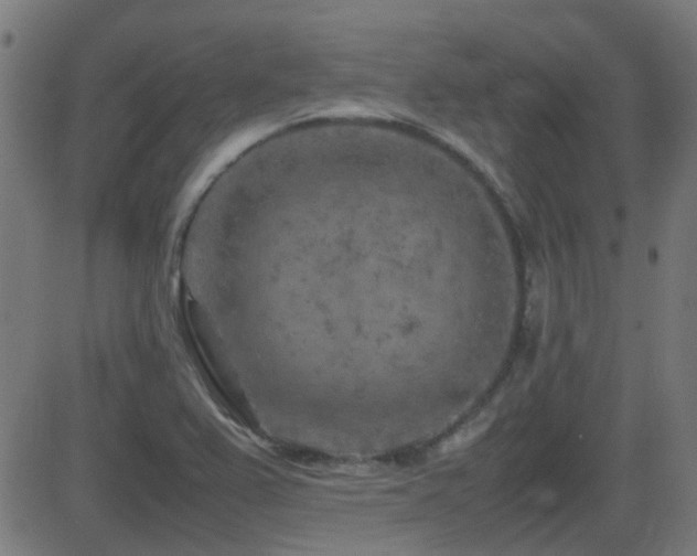 X0000081451367200701121220