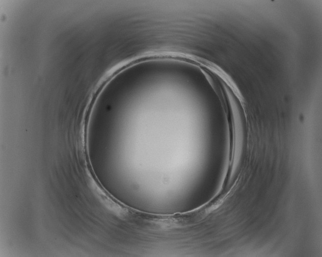 X0000081451388200701121220