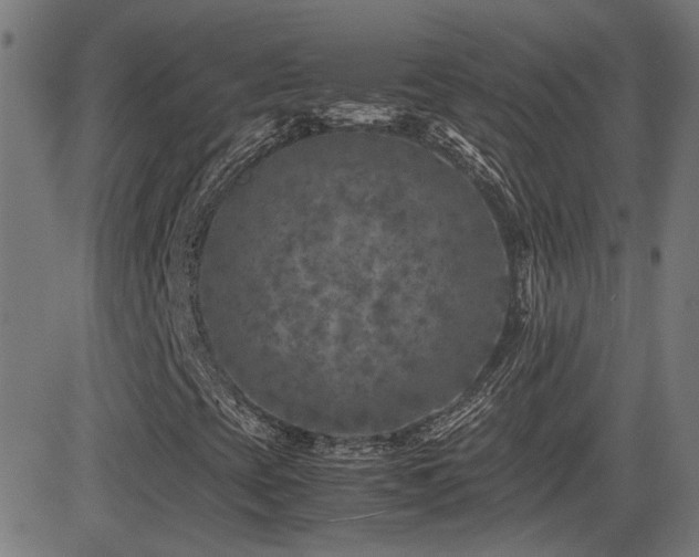 X0000081451393200701121219