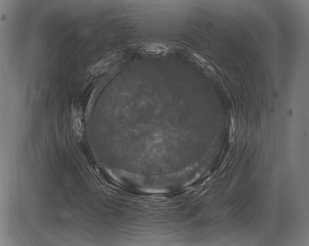 X0000081451394200701121219