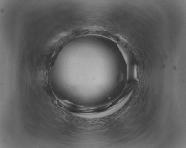 X0000081451398200701121219