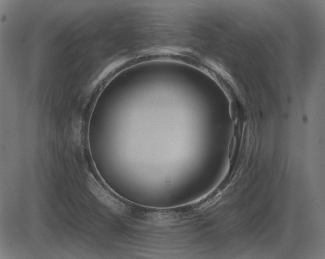 X0000081451404200701121219
