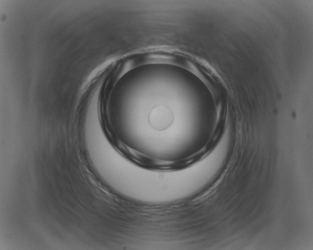 X0000081451406200701121219