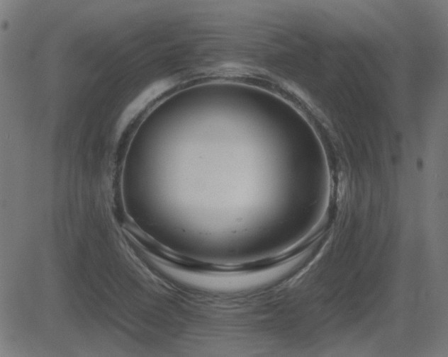 X0000081451410200701121220