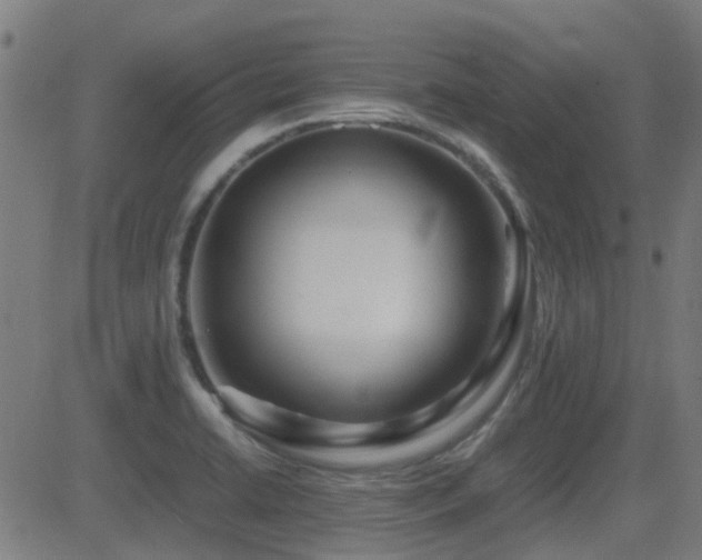 X0000081451422200701121220