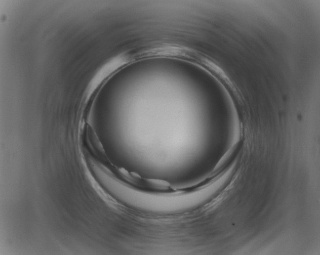 X0000081451426200701121220