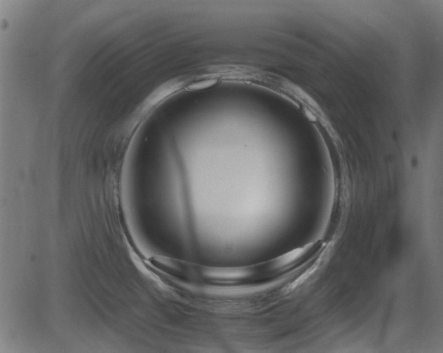 X0000081451433200701121220
