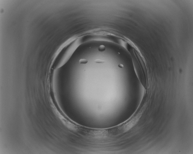 X0000081451434200701121220