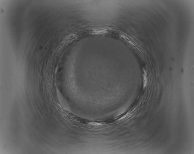 X0000081451441200701121219