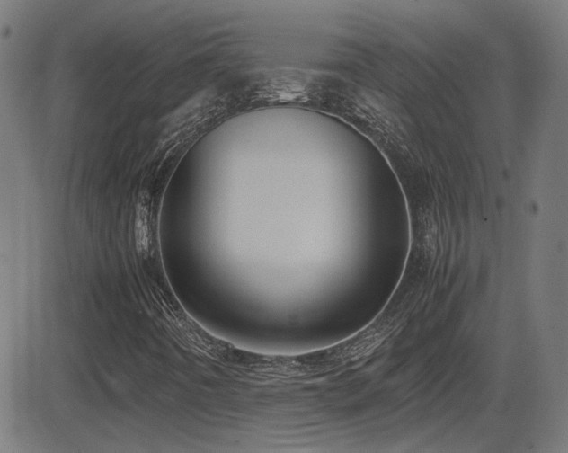 X0000081451442200701121219