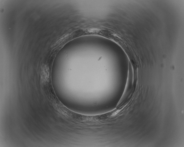 X0000081451443200701121219