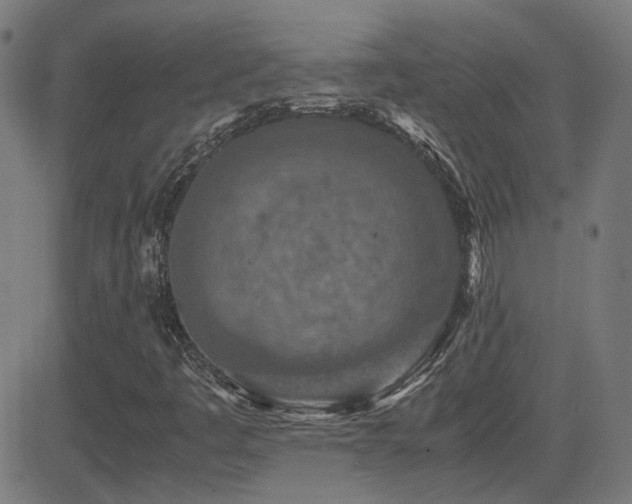 X0000081451445200701121219