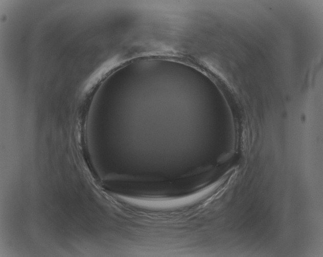 X0000081451455200701121219
