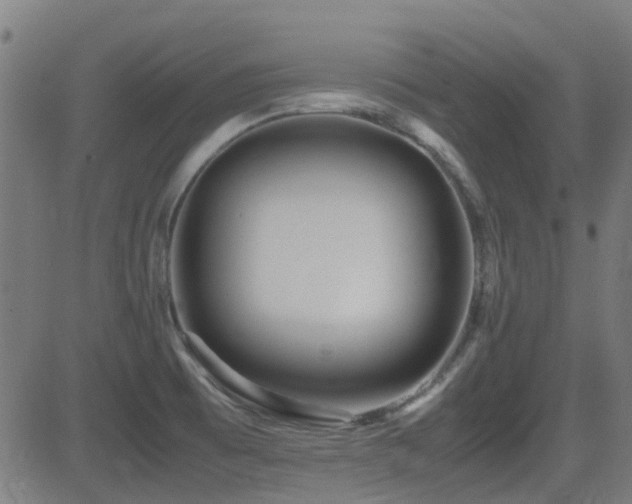 X0000081451473200701121219